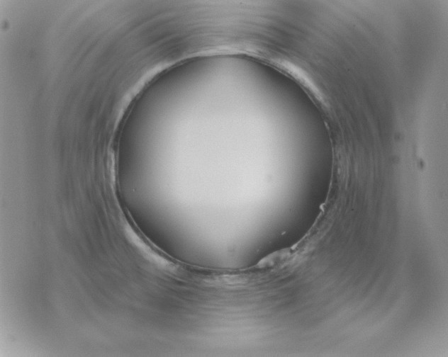 X0000075401476200609291629