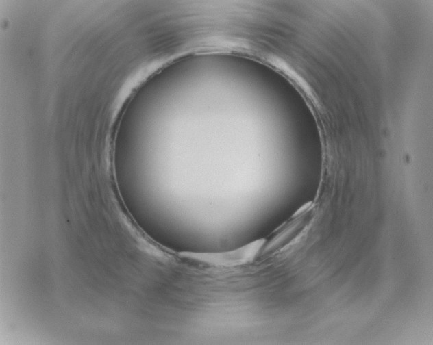 X0000075401477200609291629