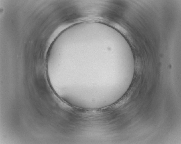 X0000075401478200609291629