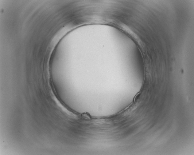 X0000075401479200609291629