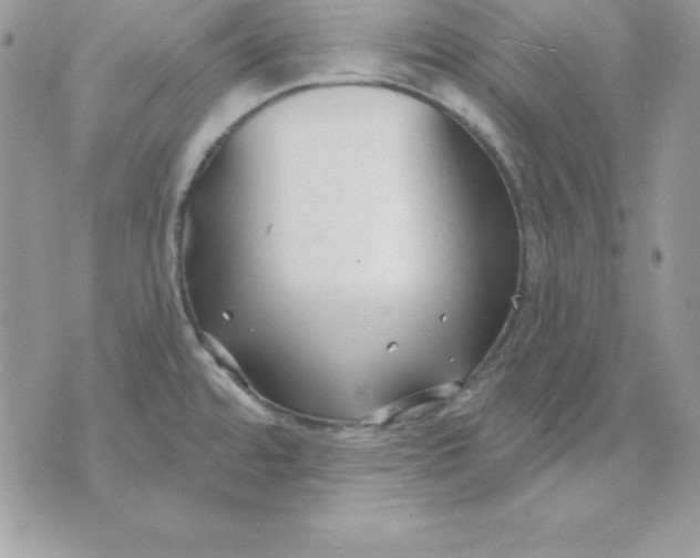 X0000075401480200609291629