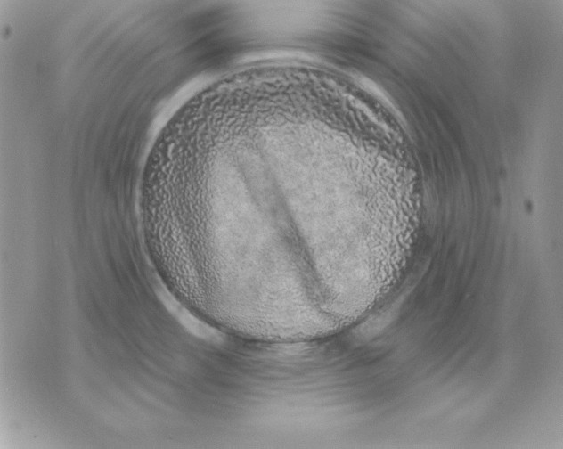 X0000075401482200609291629