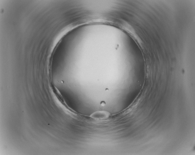 X0000075401483200609291629