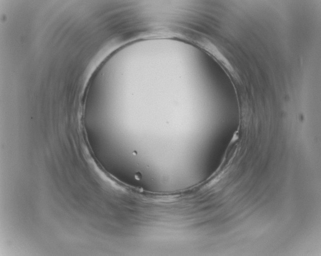 X0000075401484200609291629