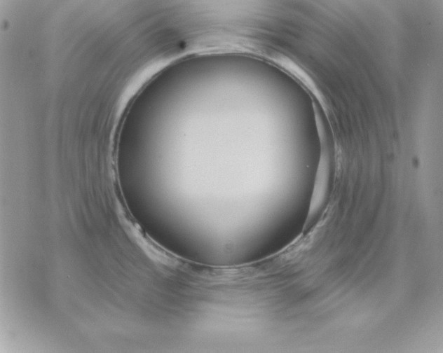 X0000075401485200609291629