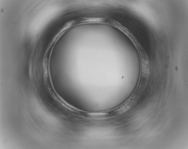 X0000075401487200609291629