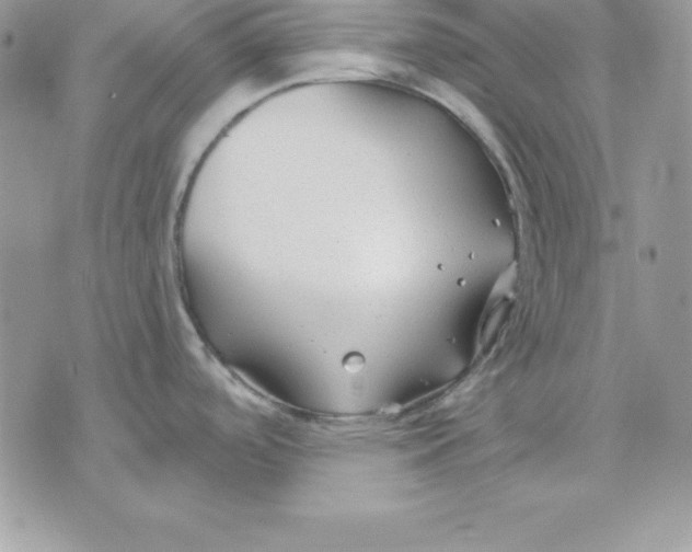 X0000075401488200609291628