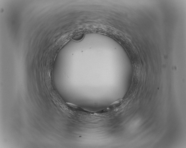 X0000075401489200609291628