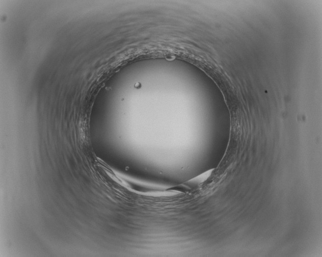 X0000075401490200609291628