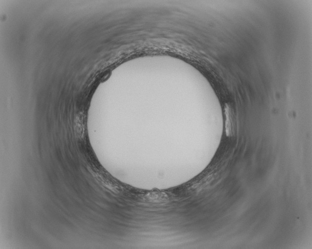 X0000075401491200609291628