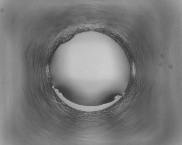 X0000075401492200609291628