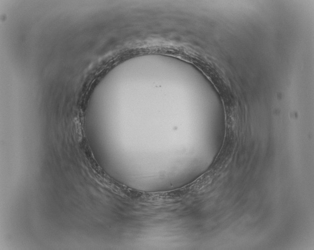 X0000075401493200609291628