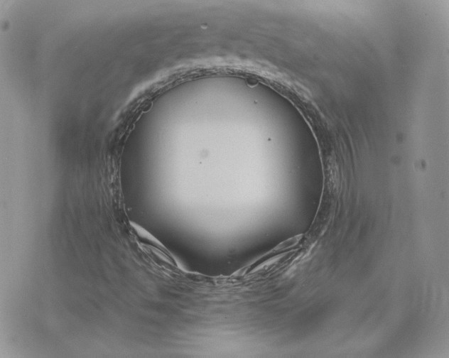 X0000075401494200609291628