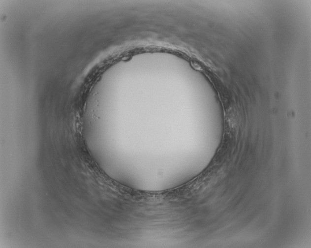 X0000075401495200609291628