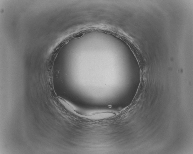 X0000075401496200609291628