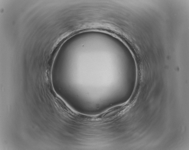 X0000075401497200609291628