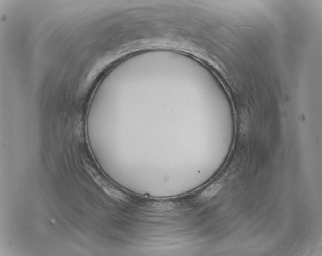 X0000075401499200609291628