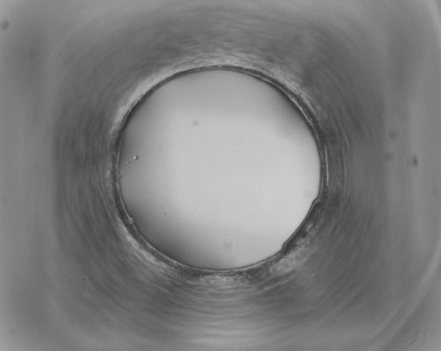 X0000075401500200609291628