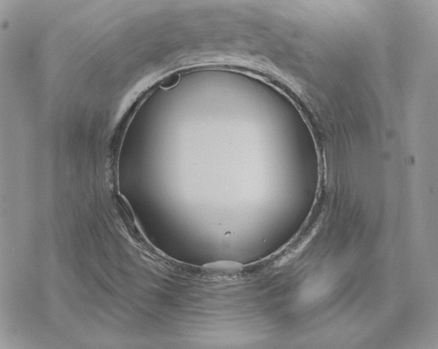 X0000075401501200609291628