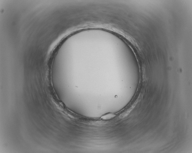 X0000075401502200609291628