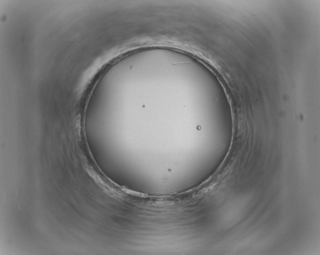 X0000075401503200609291628