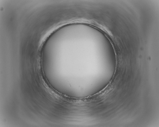 X0000075401504200609291628