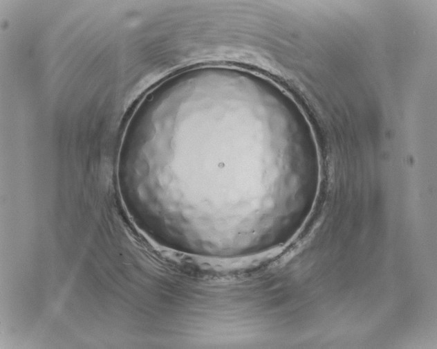 X0000075401505200609291628