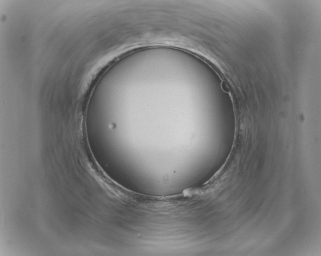 X0000075401507200609291628