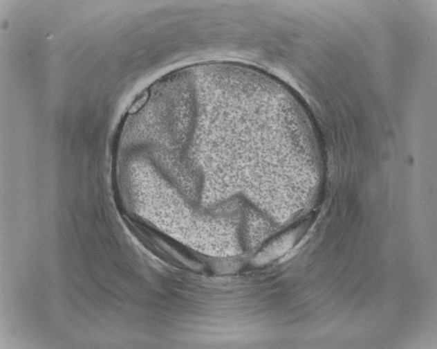 X0000075401508200609291628