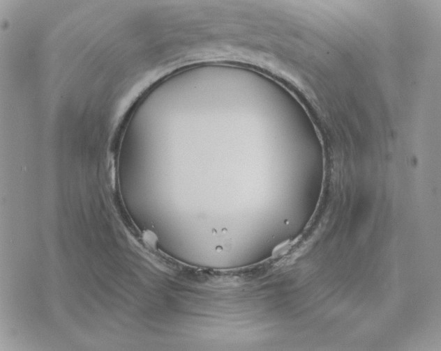 X0000075401509200609291628