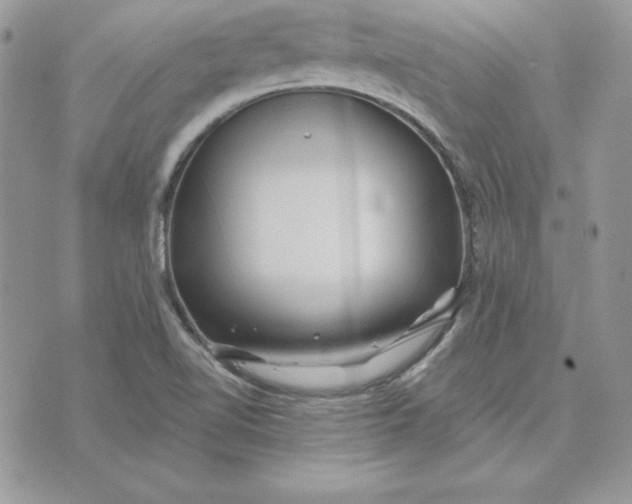 X0000075401510200609291628