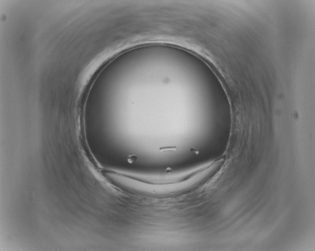 X0000075401511200609291628