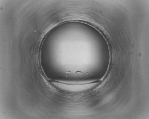 X0000075401513200609291628