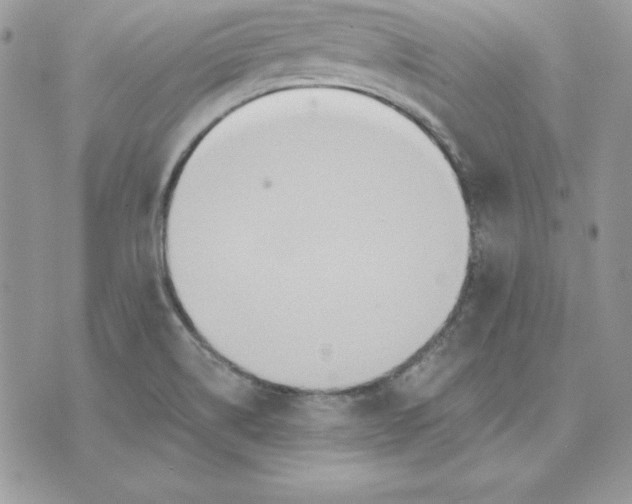 X0000075401514200609291628