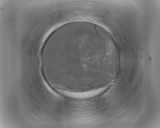 X0000075401515200609291628