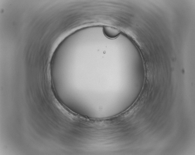 X0000075401516200609291628