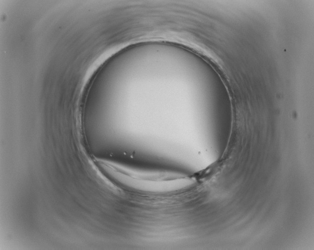 X0000075401517200609291628