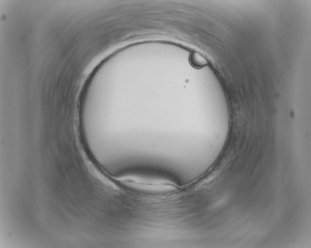 X0000075401518200609291628