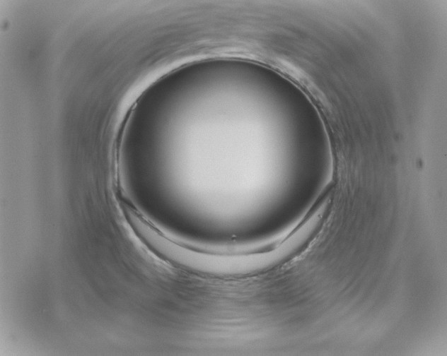 X0000075401520200609291628