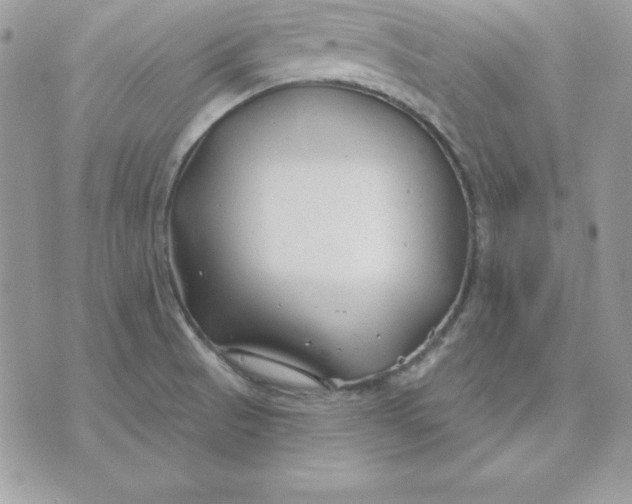 X0000075401521200609291628