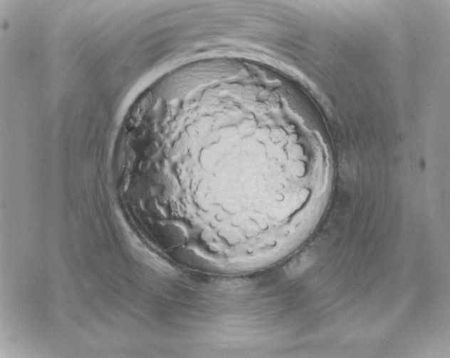 X0000075401522200609291628