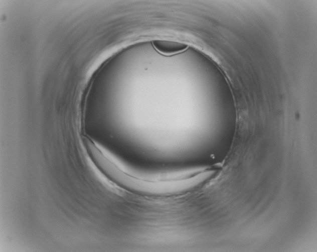 X0000075401523200609291628