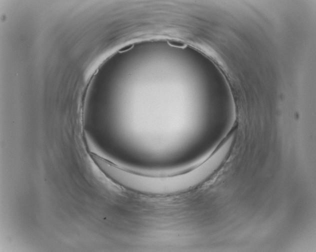 X0000075401524200609291628