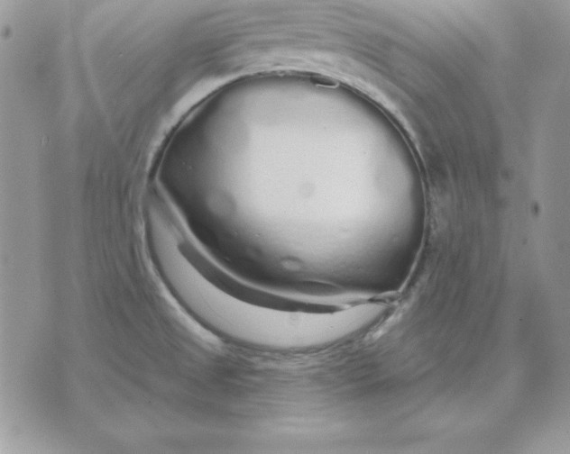 X0000075401525200609291628