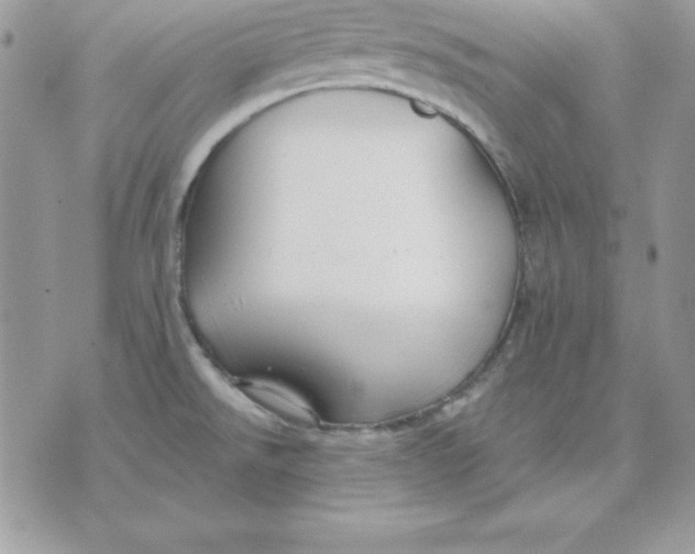 X0000075401526200609291628