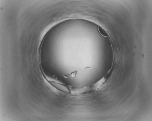 X0000075401527200609291628