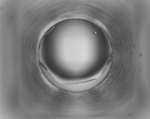 X0000075401528200609291628