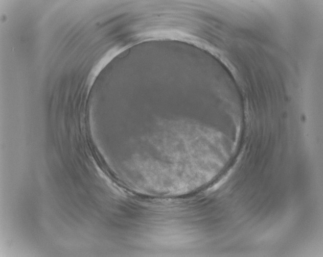 X0000075401529200609291628