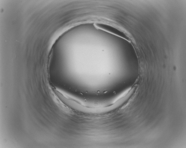 X0000075401530200609291628