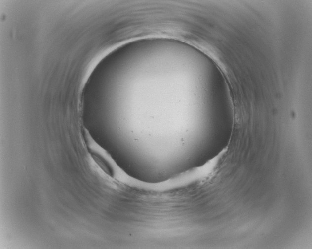 X0000075401532200609291628